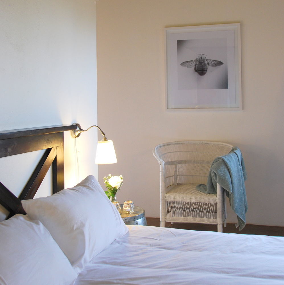 Mbizi Bush Lodge 팔라보르와 외부 사진